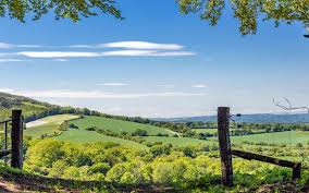 Year 5 and 6 Trip to Explore the South Downs