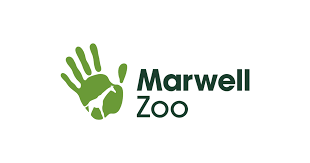 Year 1 & 2 Trip to Marwell